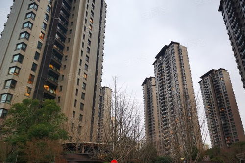 仁恒公園世紀優(yōu)點 不足,仁恒公園世紀怎么樣,仁恒公園世紀周邊房產(chǎn)中介經(jīng)紀人評價